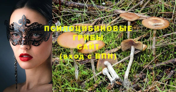 крисы Алзамай