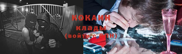 ГАЛЛЮЦИНОГЕННЫЕ ГРИБЫ Абаза