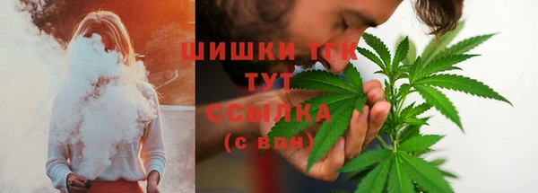 ГАЛЛЮЦИНОГЕННЫЕ ГРИБЫ Абаза
