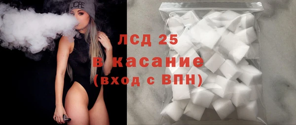 ГАЛЛЮЦИНОГЕННЫЕ ГРИБЫ Абаза