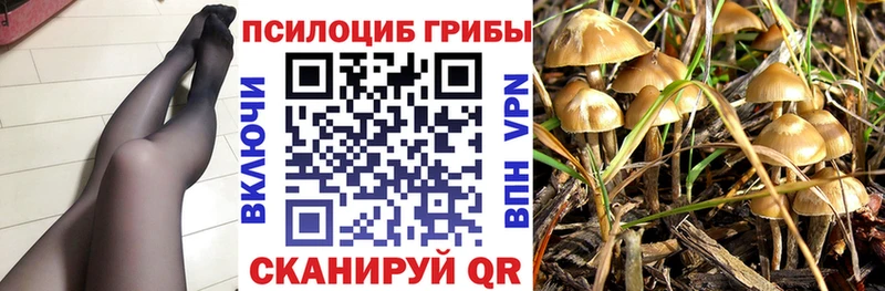 ОМГ ОМГ рабочий сайт  закладки  Разумное  Галлюциногенные грибы Cubensis 