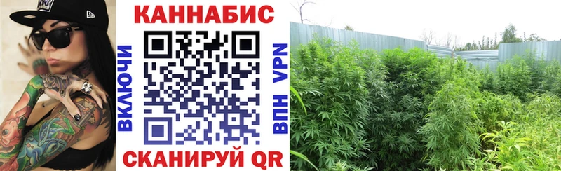 Канабис семена  сколько стоит  Разумное 